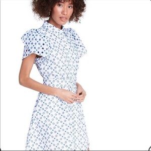 Alexis Target Dot Tulip Eye-lit Embroidered Dress